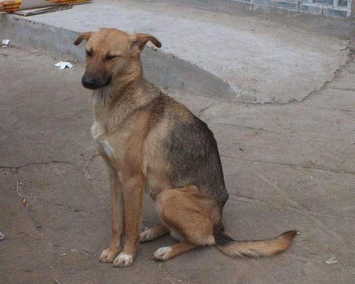 五喜代表什么,家中四喜是哪四喜