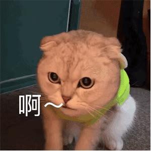 很好看的国货品牌,好吃的国货良心推荐