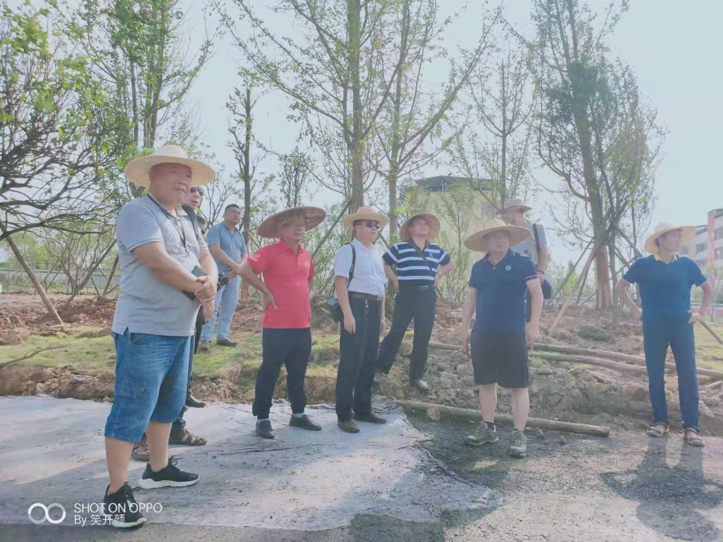 桂林全州县宣传干部王滋创抱病工作，累到昏迷