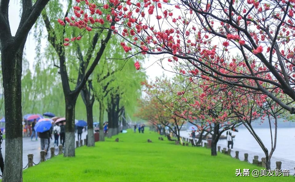 语文拓展100个容易被误用的成语,100个最常被误用的成语行测必备