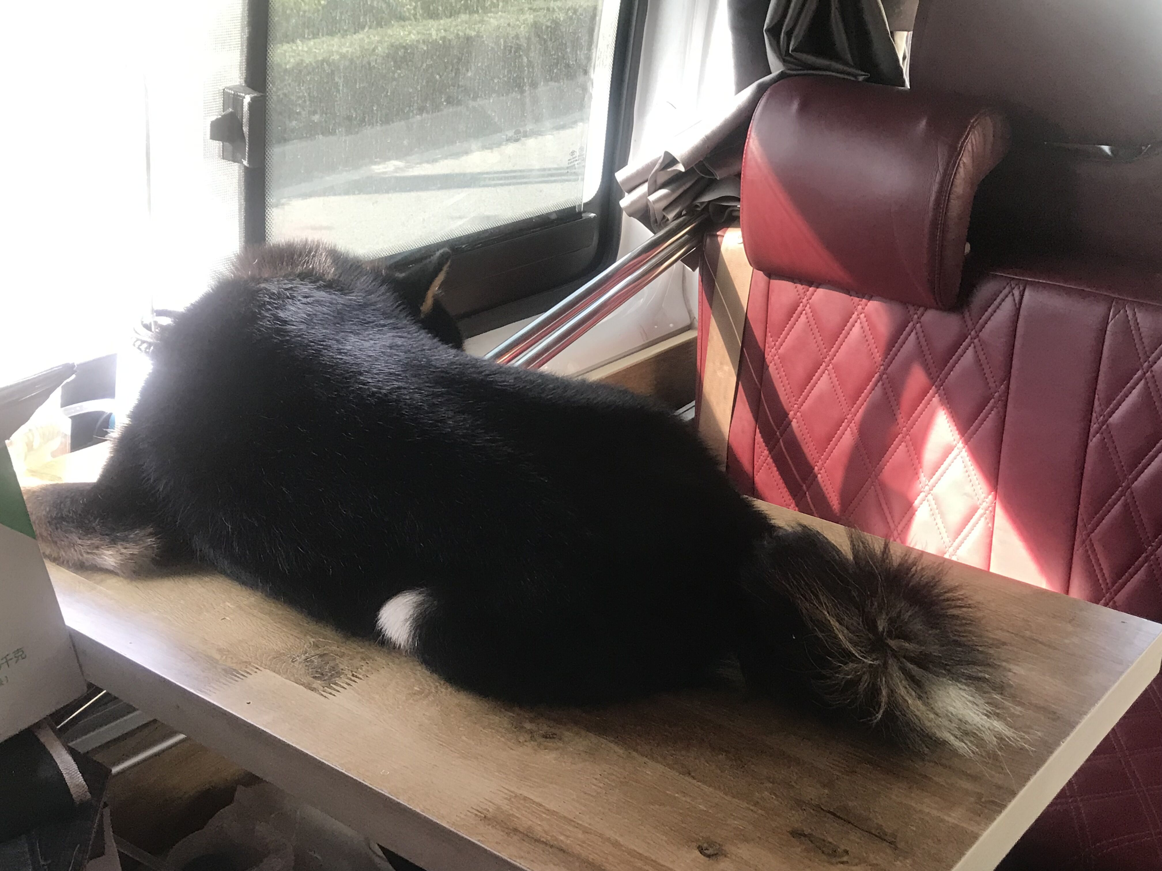 又见东兴,故地重游口岸都关闭了,不同时间不同伙伴不同心情