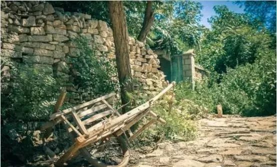 她给破败乡村动了个大手术，2年跨进“后现代”，艺术青年扎堆