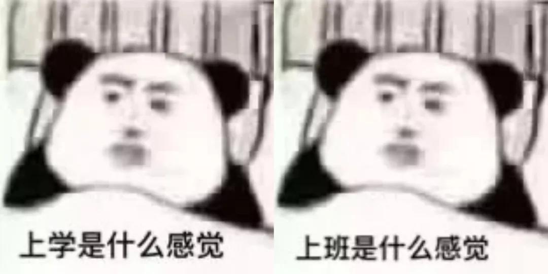 阿迪达斯童装6-12岁直播,阿迪达斯官方旗舰店直播童装童鞋