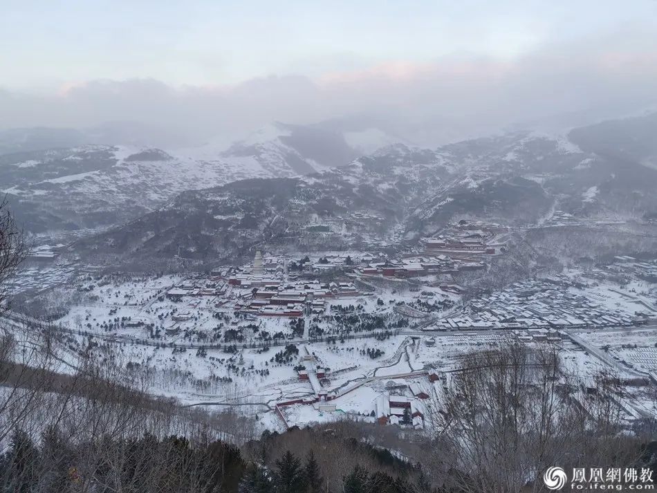 中国佛教四大名山江西龙虎山,中国佛教里的四大名山