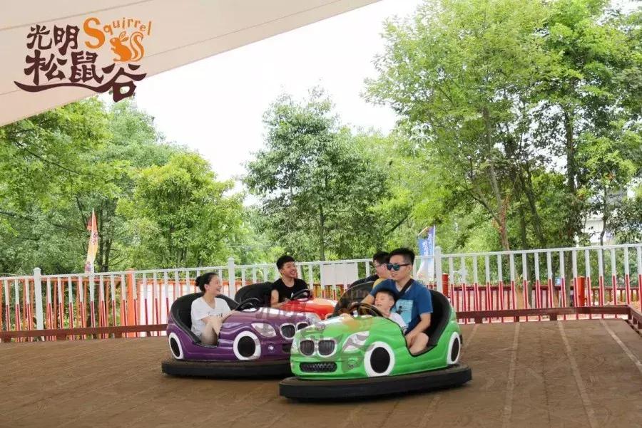 长沙松鼠园游玩攻略,端午长沙再成旅游热门目的地