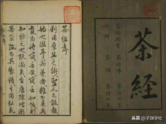 茶文化陆羽茶经,陆羽茶经中的喝茶