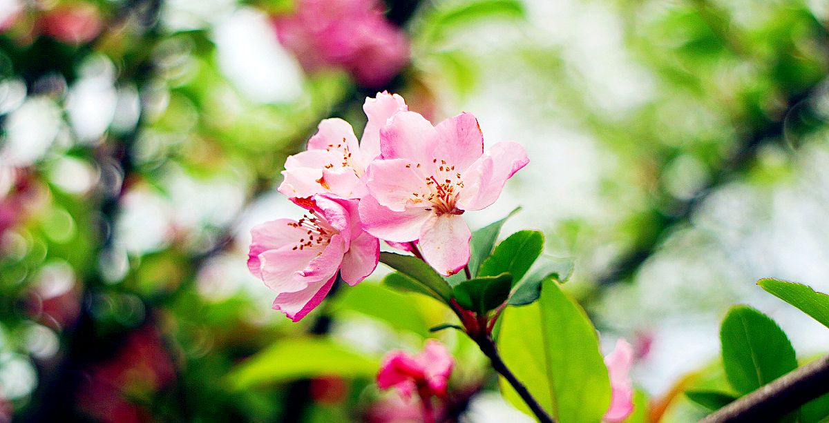 男人和女人三观合不合是指哪三观,家庭三观不合指哪三观