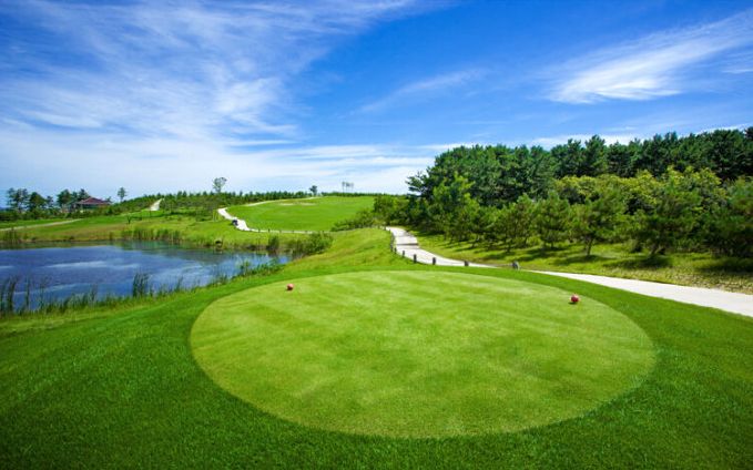 临港发展规划及现状介绍,威海临港区未来发展前景
