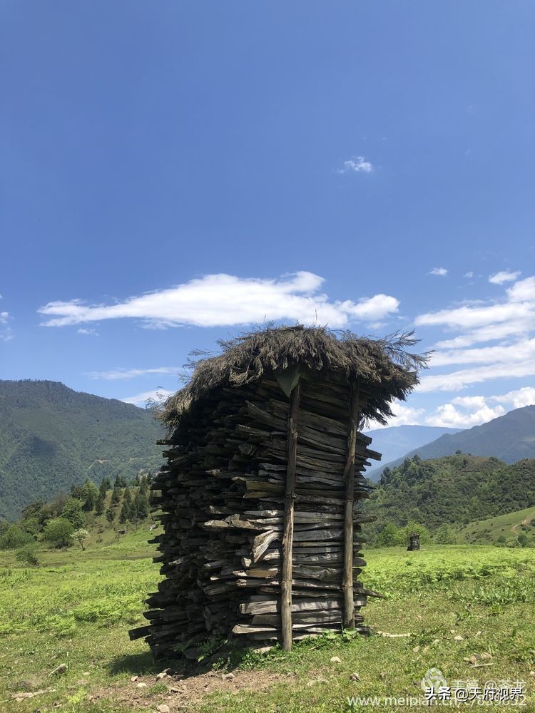四川黑竹沟之谜,四川黑竹沟探险之旅