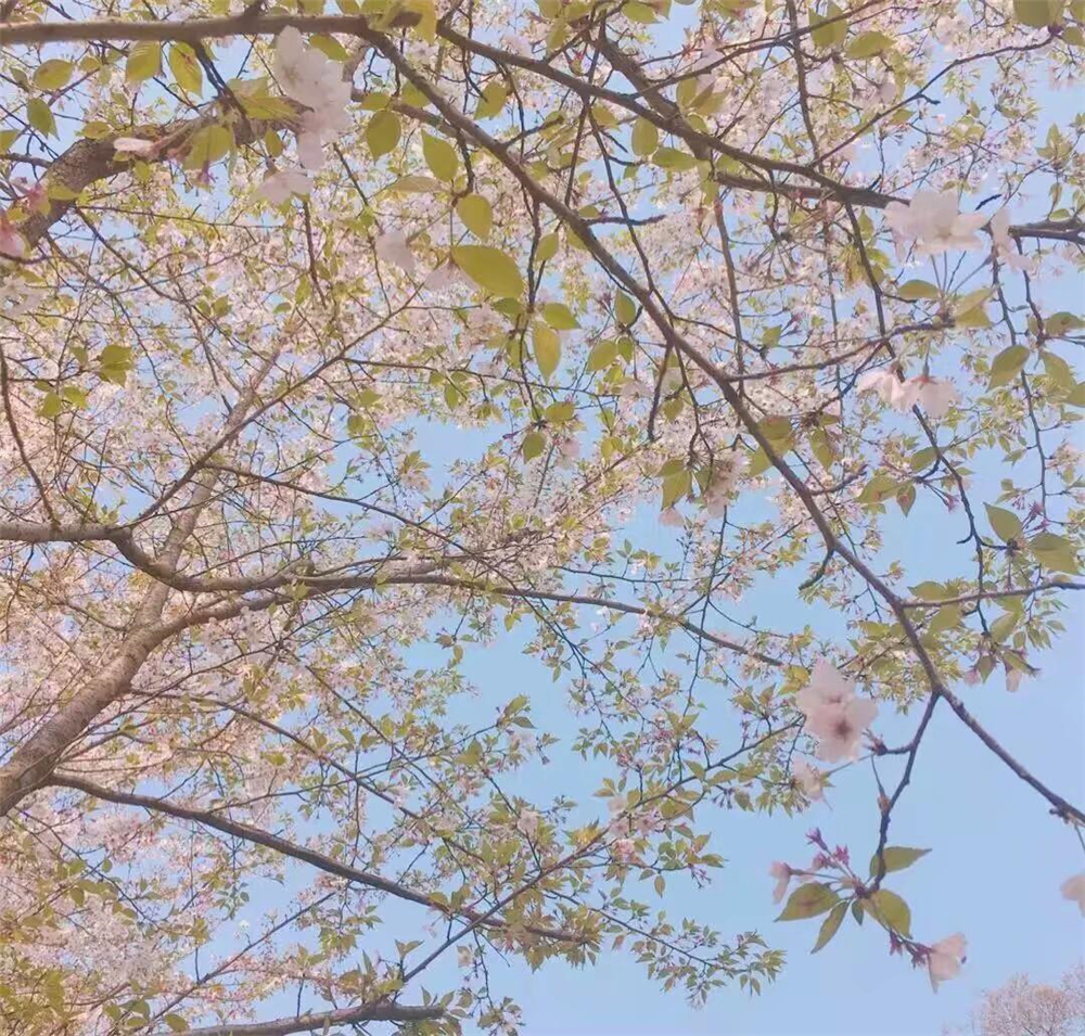 孩子喜欢颜色的原因,孩子喜欢的颜色暗示他的性格