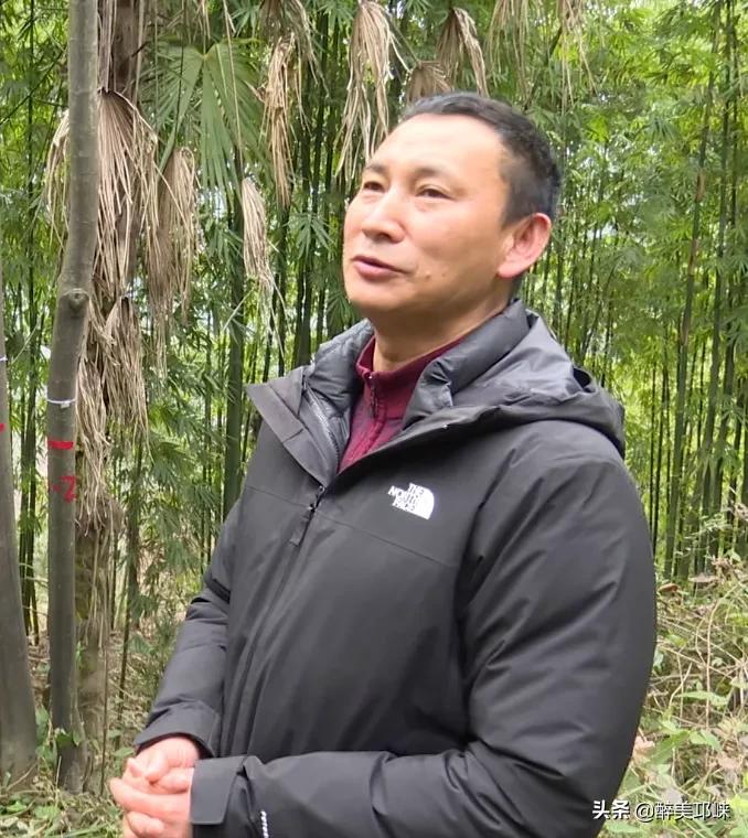 四川发现全球罕见野生植物新种,四川发现罕见植物