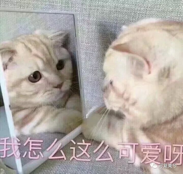 便宜的1000多，贵的10000起步，祛斑套餐的差距咋这么大？