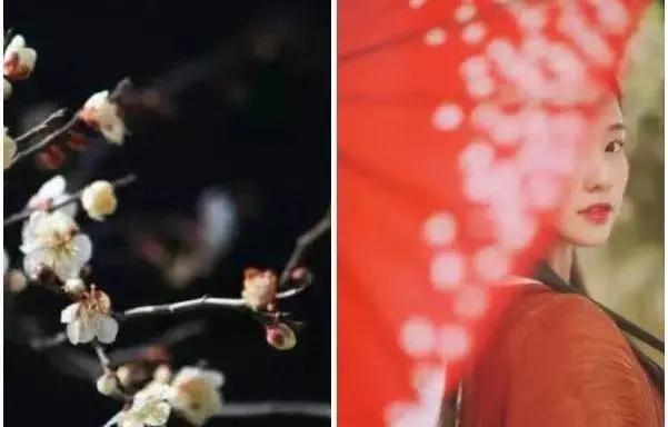 蝴蝶堂｜依曼丽：新品「风华」系列上市｜东方美人，惊艳时光的美