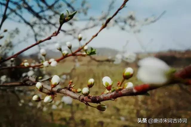 颠覆认知的古诗,颠覆认知脑洞大开的语句