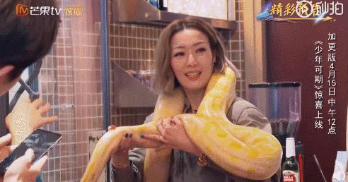 郑秀文为何那么多人爱,为什么香港那么多人喜欢郑秀文