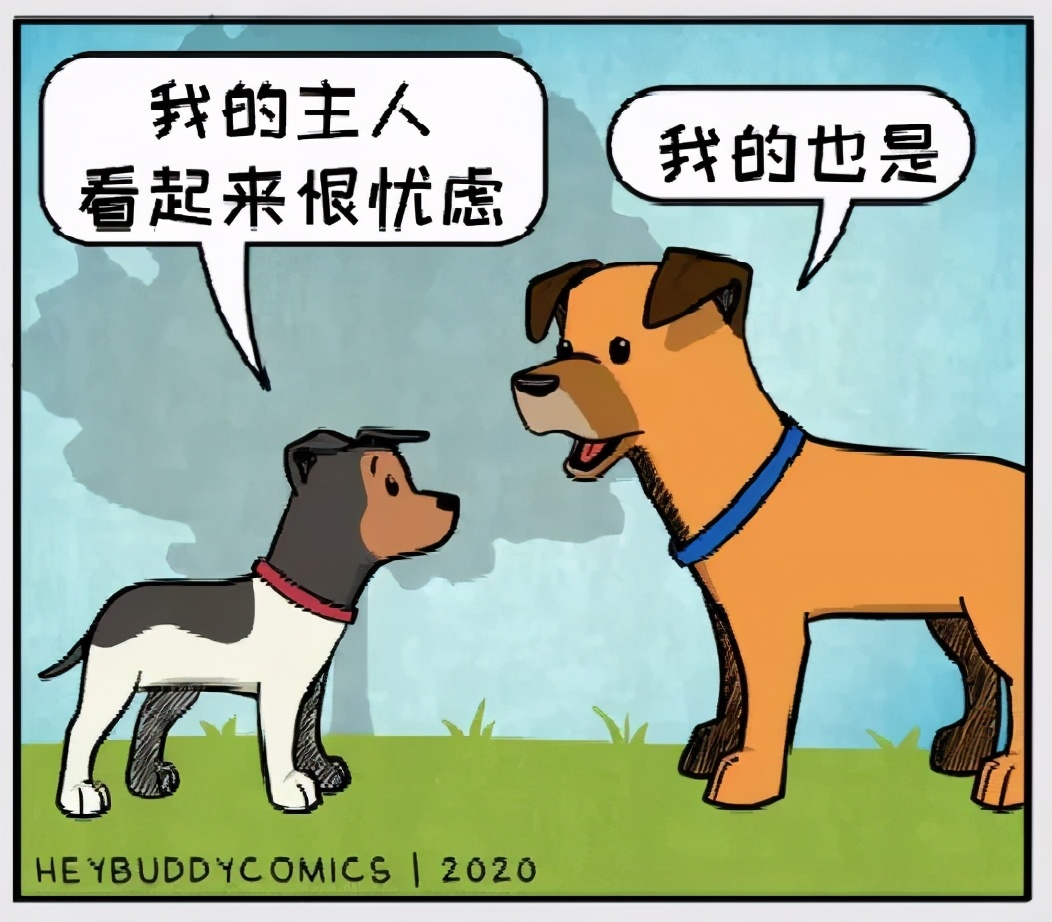 铲屎官和狗子的漫画,铲屎官和狗子们漫画