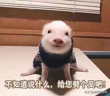 浪潮软件集团有限公司资质,浪潮软件是央企吗