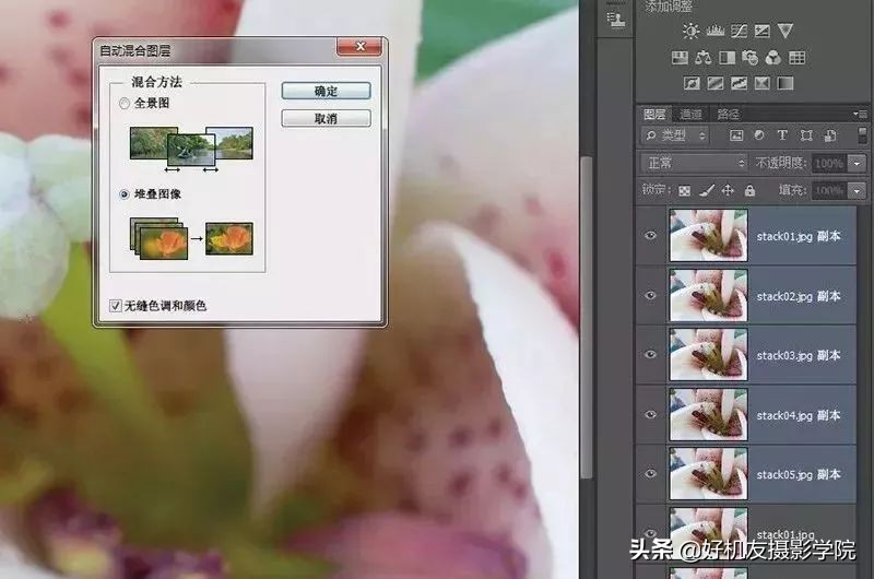 景深后期怎么合成照片,如何拍出前虚后实的景深照片