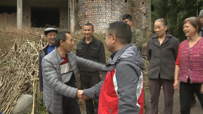 山东小伙靠养鹌鹑致富,农村大哥返乡创业养500只鸡