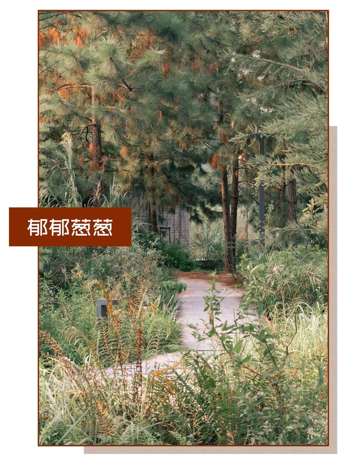 深圳风景最好的岛,深圳有个什么旅游岛