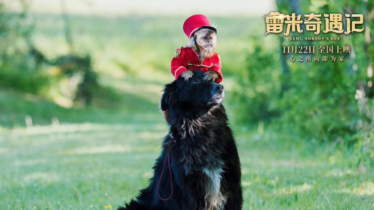 “咪咪流浪记”真人版《雷米奇遇记》：*善美真**治愈一切