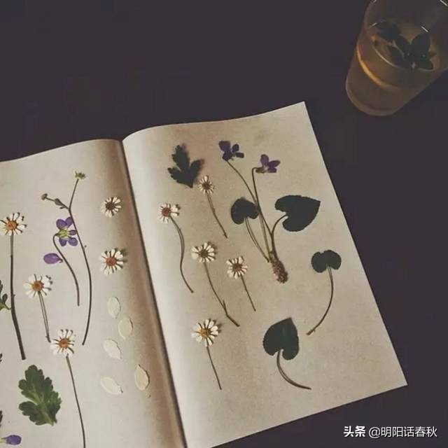 如何制作干花使其可以永久保存,如何制作干花书签