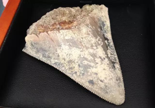 天天用面膜好不好,天天用泥膜会怎么样