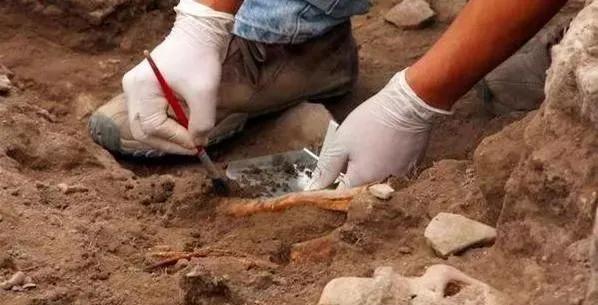 考古发现200万年前的一群人,考古发现四千年前华夏人