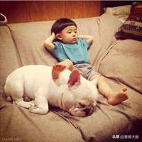 怀孕和生完孩子之后，宠物犬该如何处置？