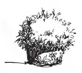 速写小知识,速写的知识