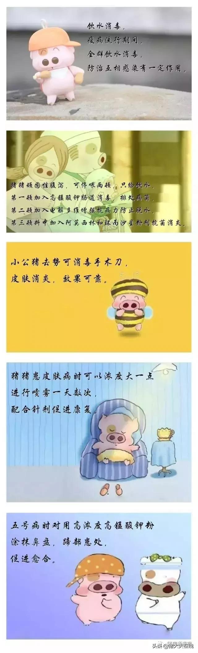 得力小能手,高锰酸钾猪场的用途和用法