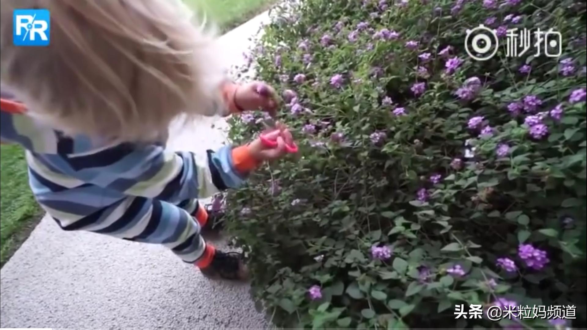 当三岁的儿子说，他要给一个特别的女孩做顿饭