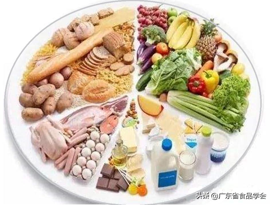 科普小知识营养健康,科普饮食小知识短视频