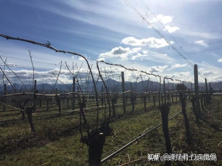 十大最累最赚钱的工作,哪些比较赚钱的工作可以在家做