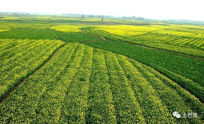 农资经销商如何给自己带来利润,干货一位农资经销商的经营之道