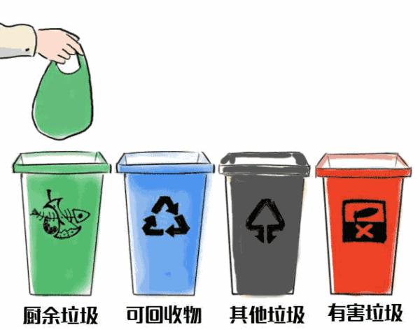 林子大了什么鸟都有是什么梗,林子大了什么鸟都有没啥稀奇的