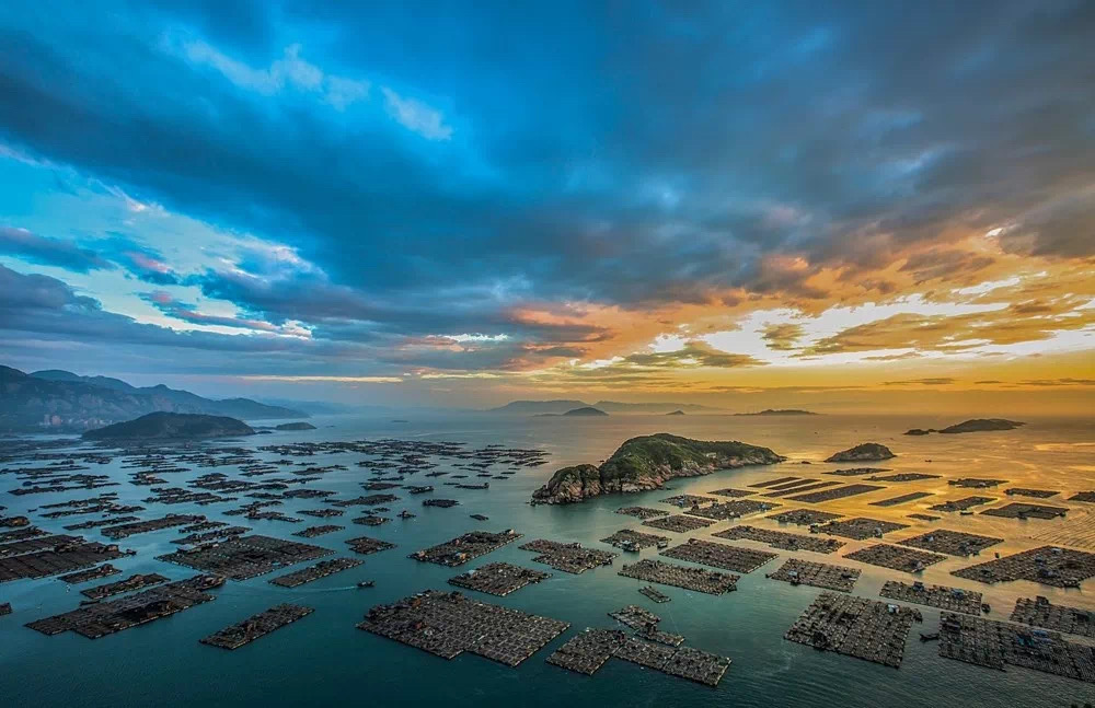 四宝卖货直播,连江四宝最新直播