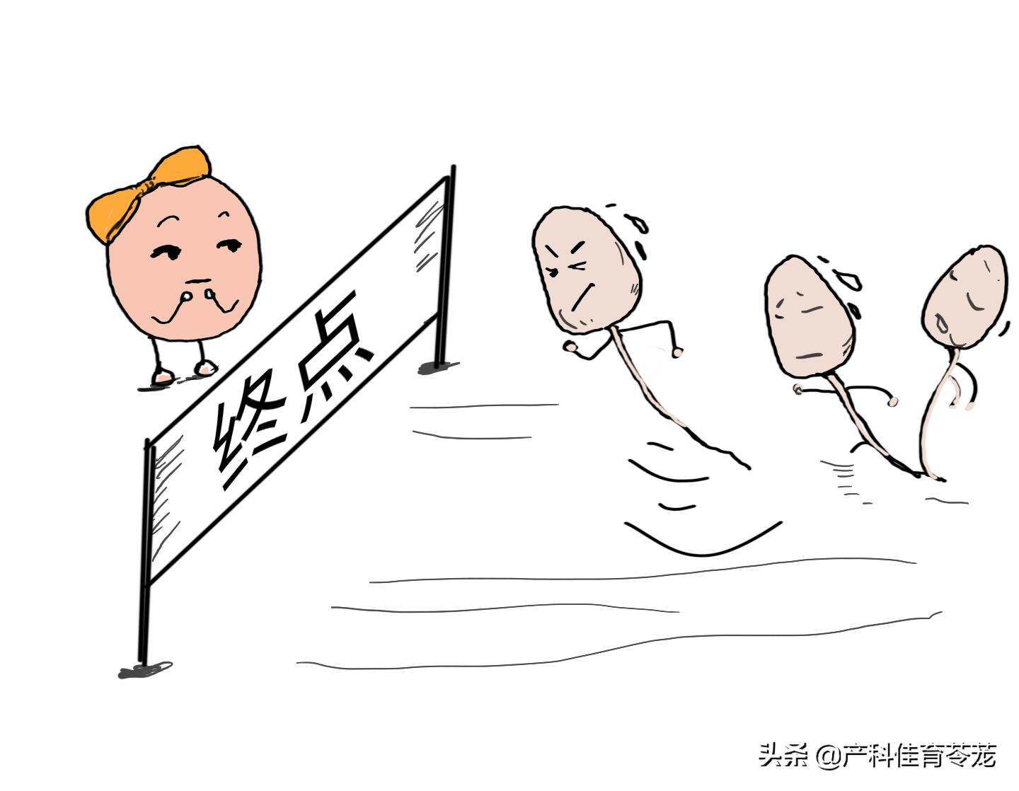 孕育生命，简单而又复杂