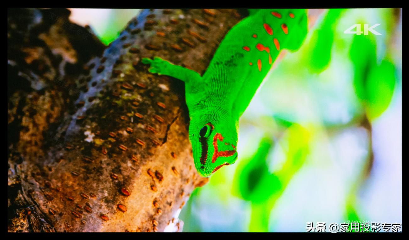 「评测」15万元4K家用激光投影机怎样?看索尼VPL-VW798