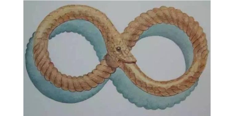 我们人体排毒系统有多强,细胞自噬对身体不好