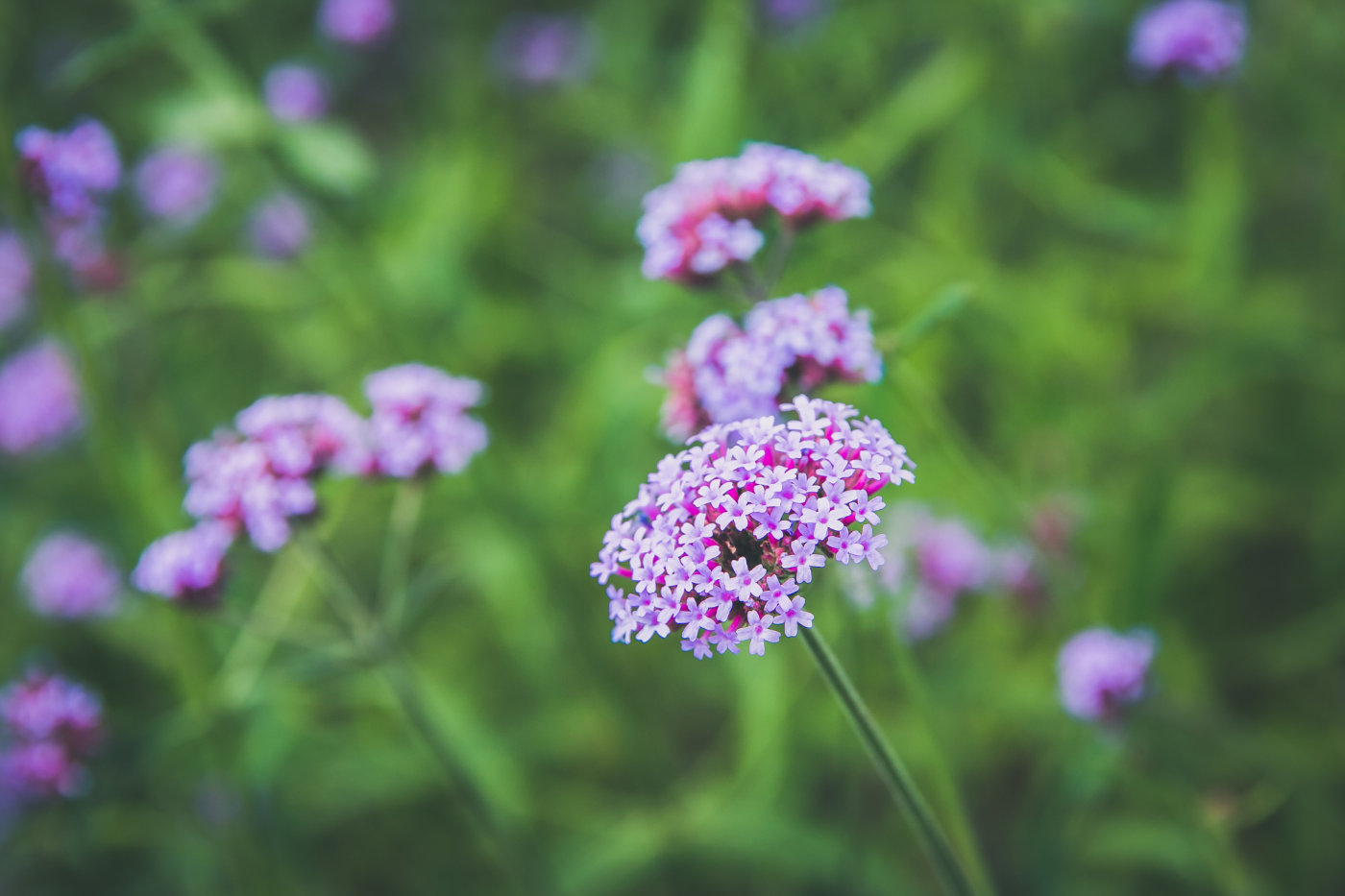 浙江湖州德清未来的发展,湖州德清科技新城
