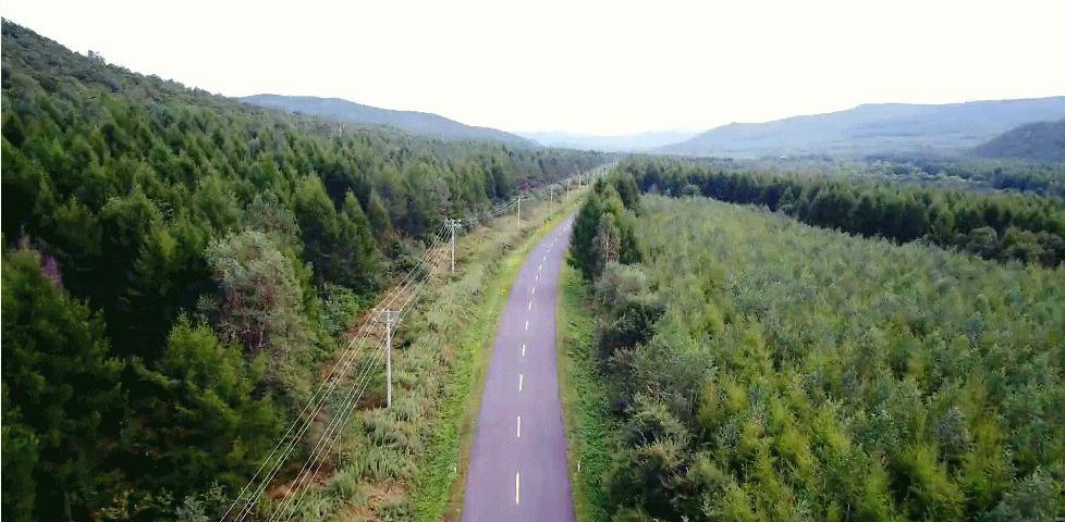 适合夏天去旅游的自驾路线,适合夏季的自驾游路线推荐