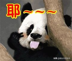 张裕卡斯特酒庄研学,探秘研学活动