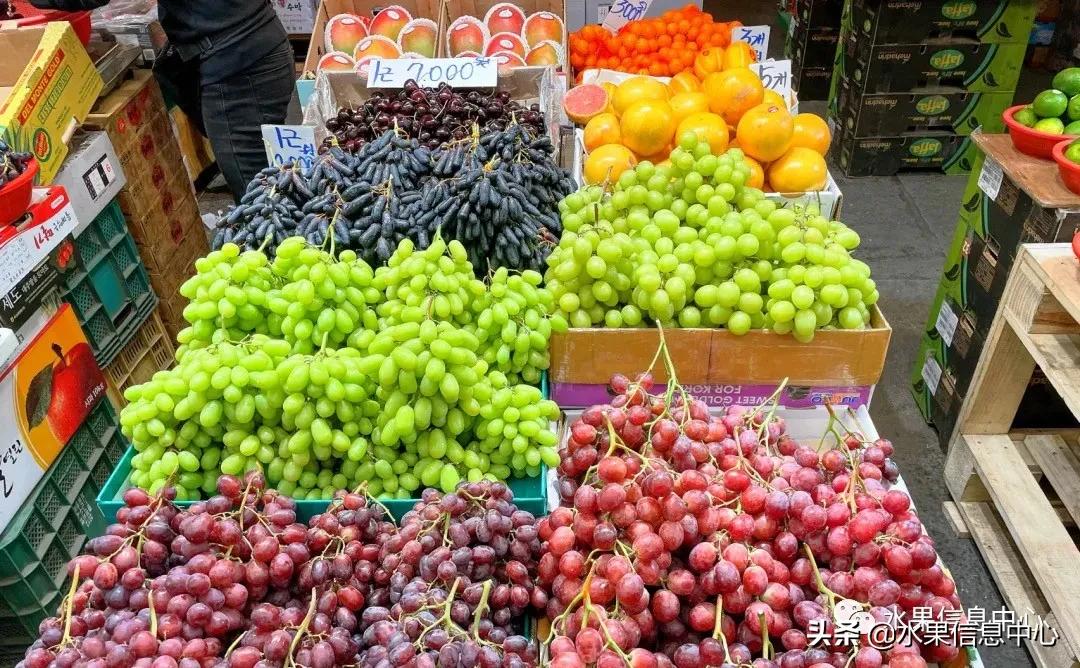 韩国水果批发市场进货渠道,韩国首尔最大的水果批发市场