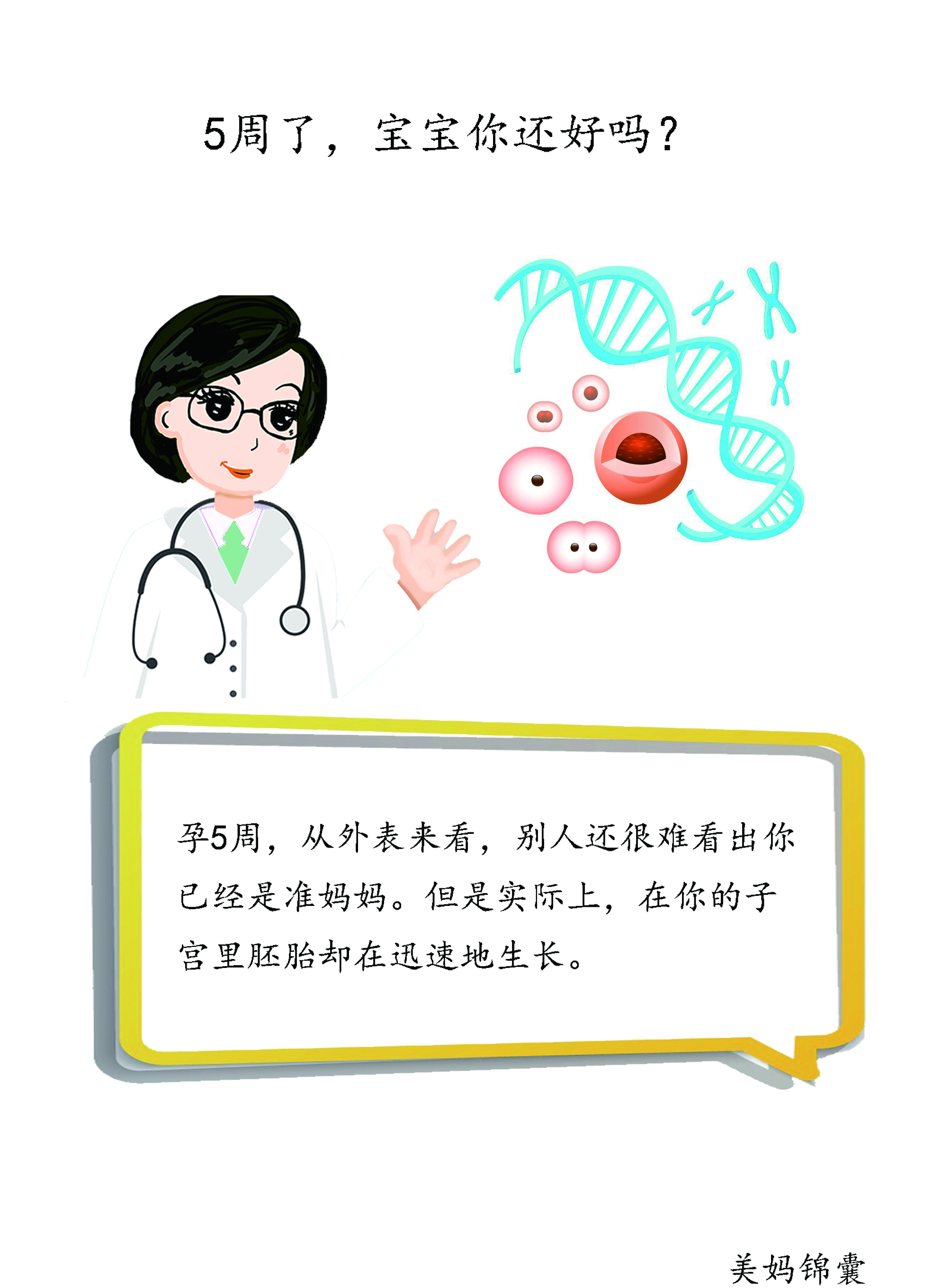 控制饮食的5个小技巧,孕5个月饮食