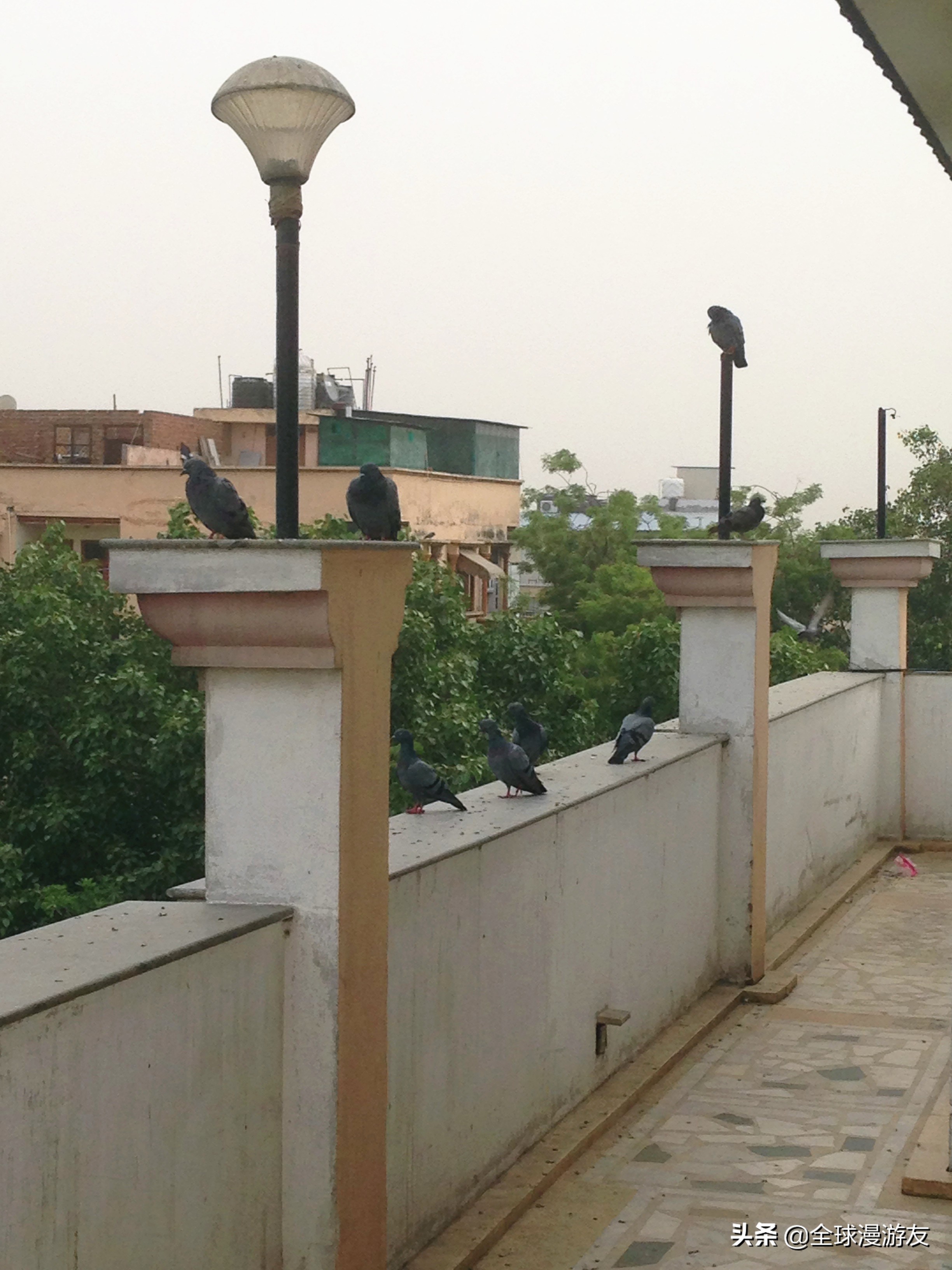 真实的印度是什么样子,真实的印度到底是什么样的