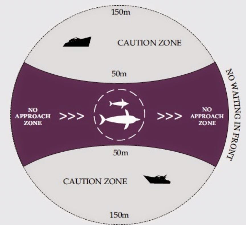 国内游客在国外被侵犯,中国游客去国外旅行被遇到抢劫犯