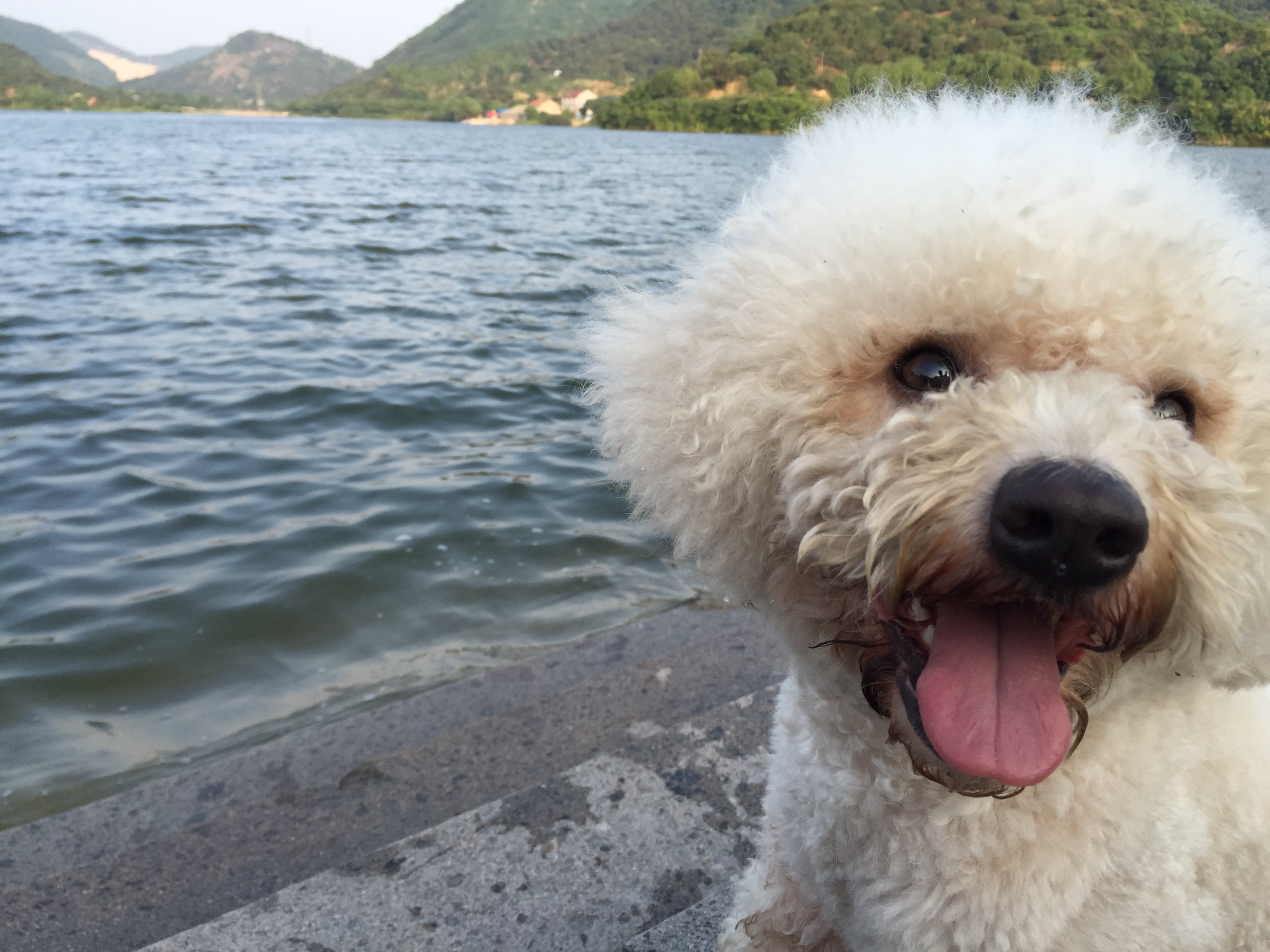 记住五十个单词要多久,日语初级视频1-48课五十音图