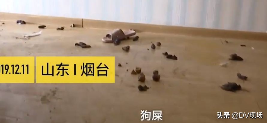 租房小伙退租后惊呆房东,房东收房租时见惊人一幕