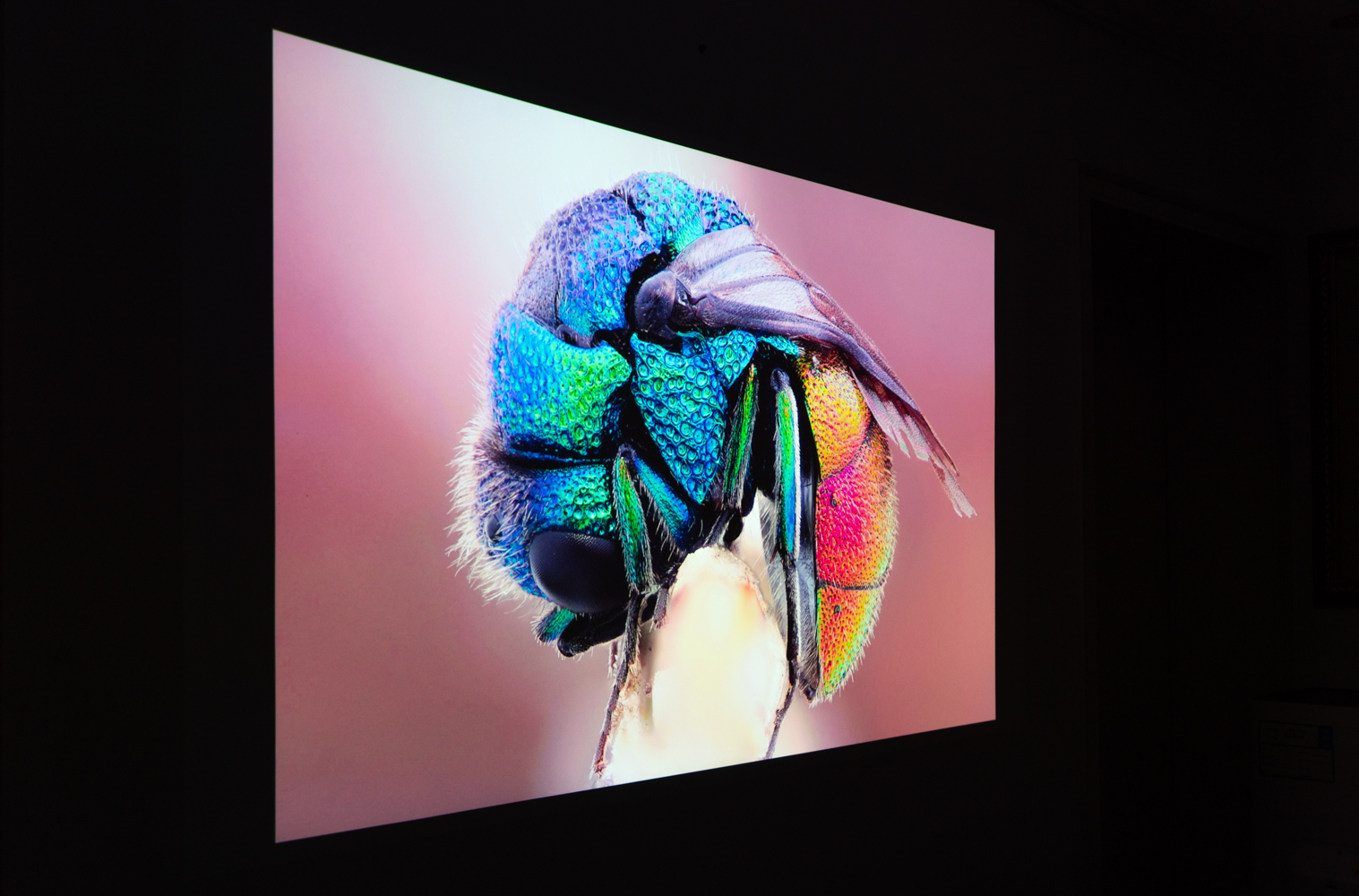 峰米投影仪smart升级版对比普通版,峰米smart投影仪对比小米2